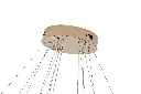 P08GD 7.webp