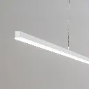 5510231-WH_3.webp