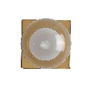 5516031-GD_2.webp