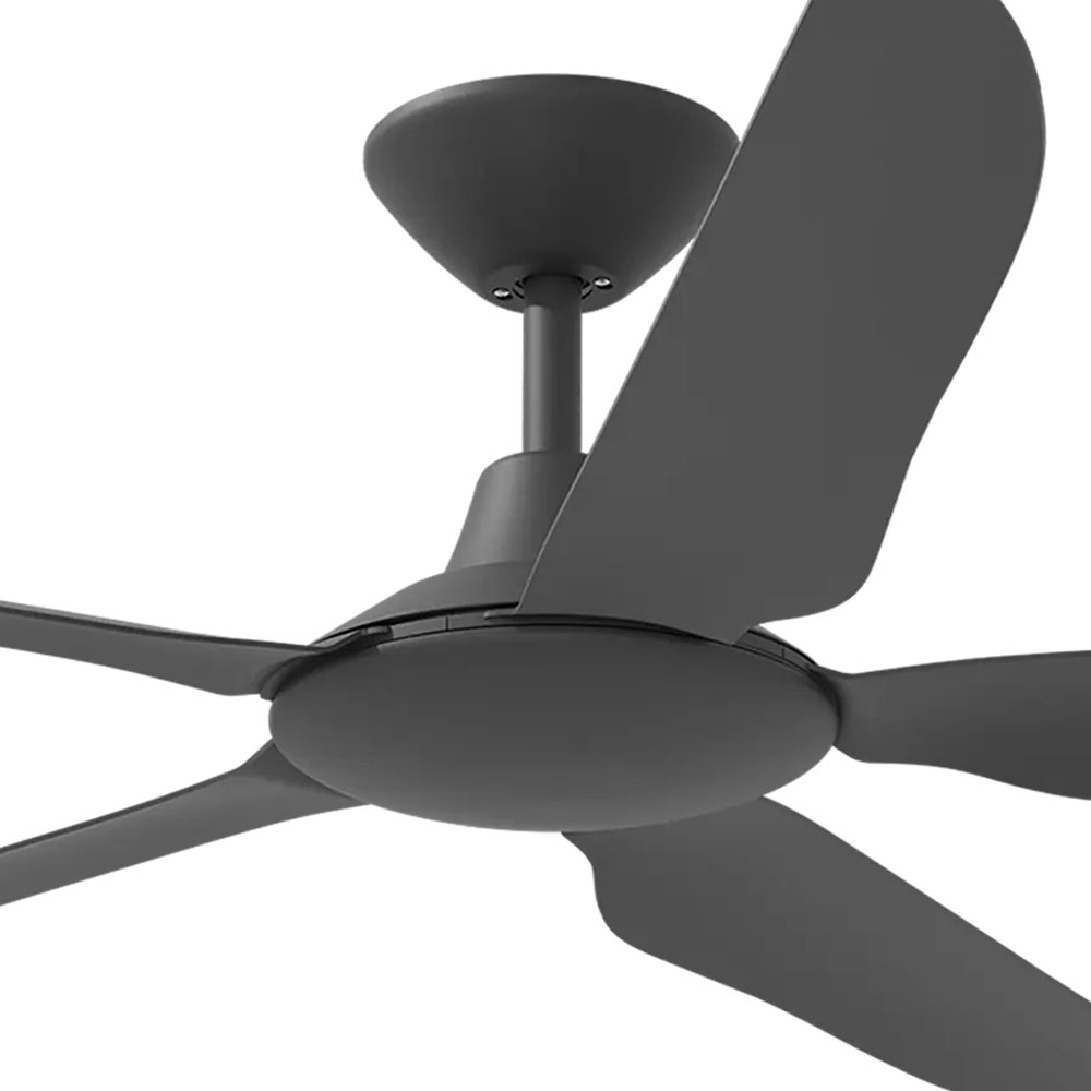 calibo-storm-56-dc-ceiling-fan-black-motor.jpg