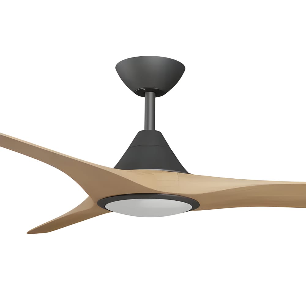 calibo-smart-cloudd-fan-72-dc-ceiling-cloud-fan-cct-led-light-black-and-bamboo-zoom-min.jpg