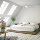 wynd-white-wash.jpg