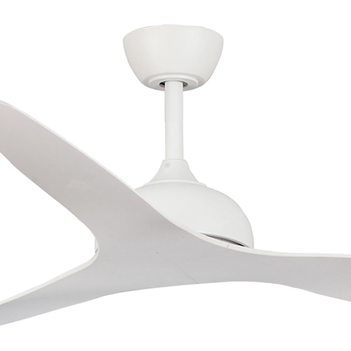 fanco-eco-style-dc-ceiling-fan-60-inch-white-motor.webp