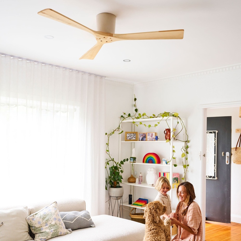 gaia-living-room-fan-min.jpg