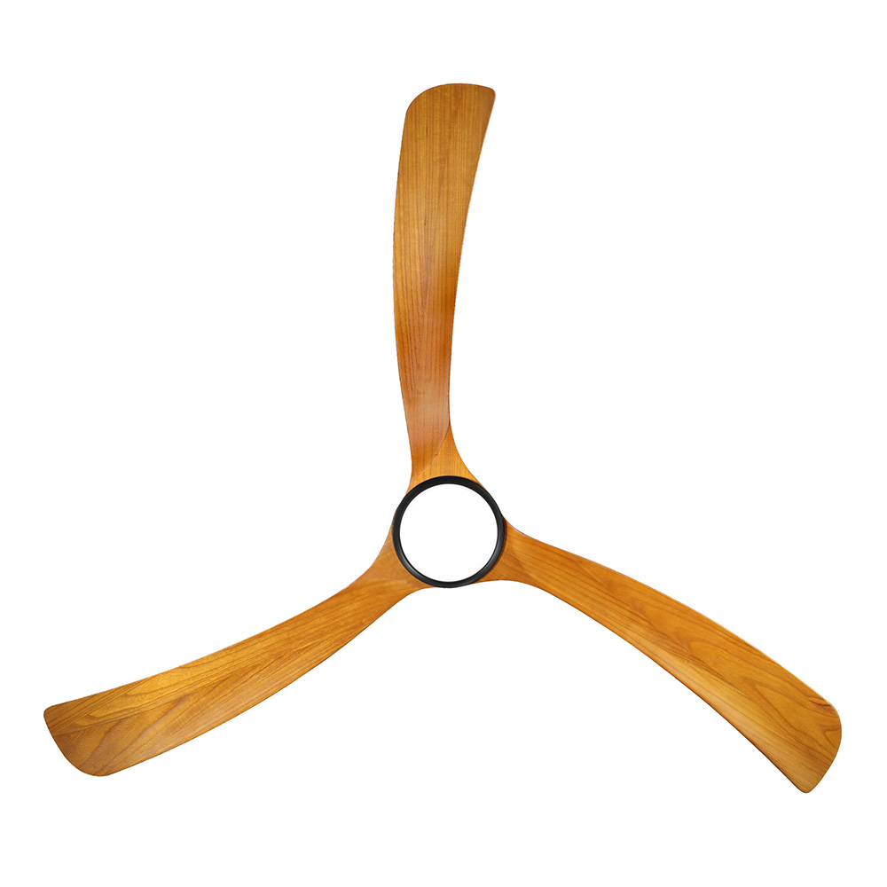 fanco-sanctuary-dc-70-black-with-natural-blades-with-light-bottom-1.jpg