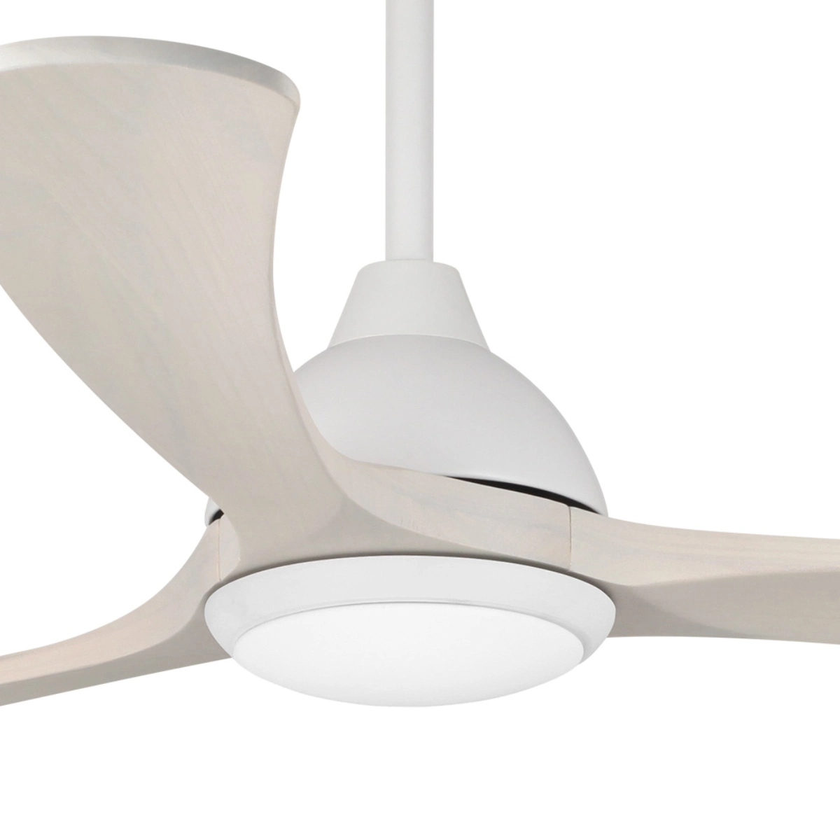 fanco-sanctuary-dc-ceiling-fan-with-cct-led-light-black-white-70-inch-motor.webp