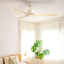 fanco-earthfirst-wynd-dc-ceiling-fan-with-light-bedroom.jpg
