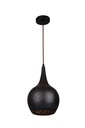 Pendant Light ES Black Bell OD 200mm