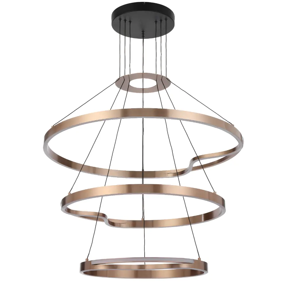 OSTROM PE3T-CG 2.webp