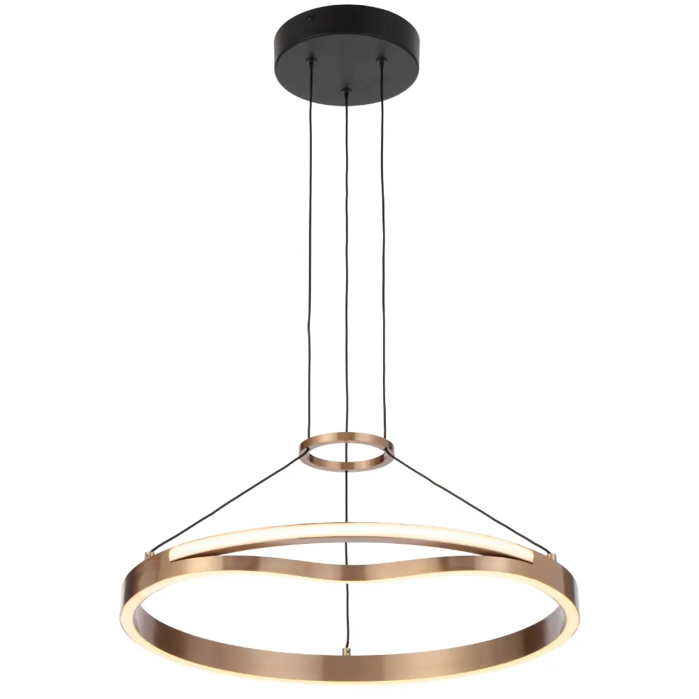 OSTROM PE50-CG 2.webp