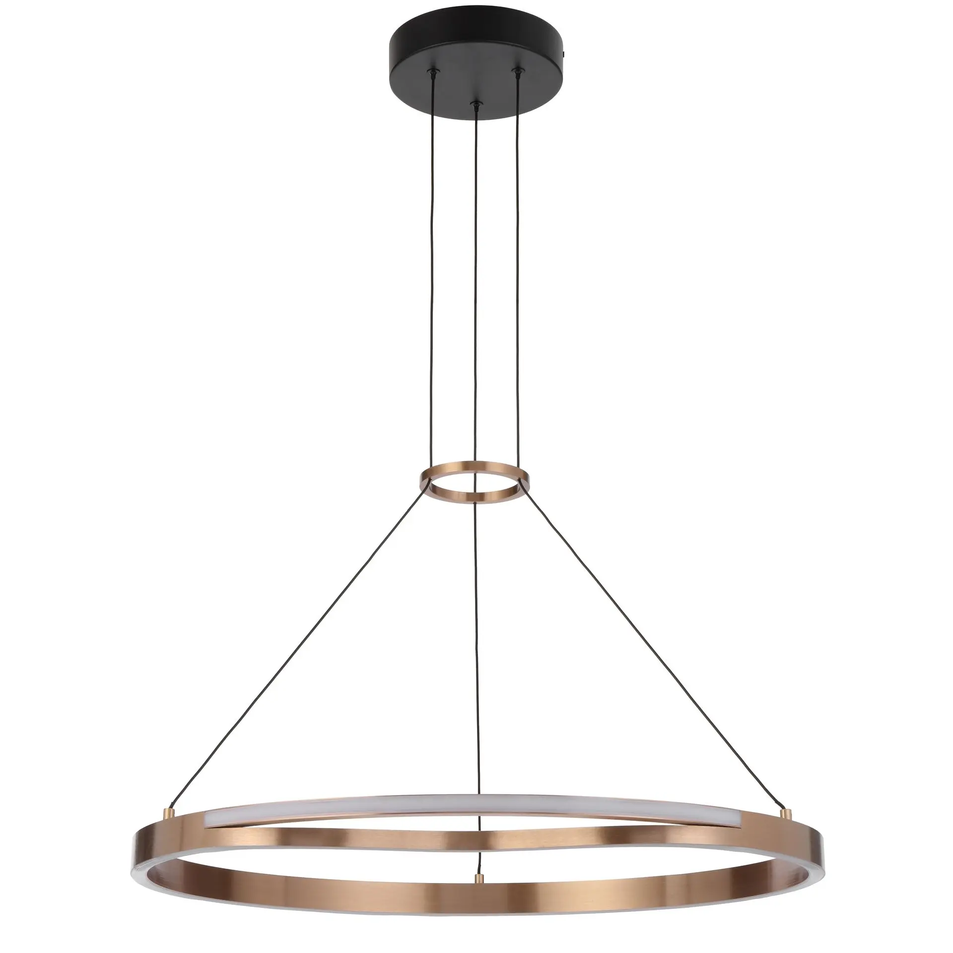 OSTROM PE65-CG 3.webp
