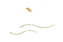 A00192GD 1.webp