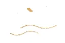 A00192GD 2.webp