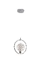 [D8901-1-CH3K] JOLIE CHROME 1 LIGHT PENDANT (Warmwhite).webp