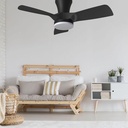 Kiwi 30 Ceiling Fan - with Light - Black