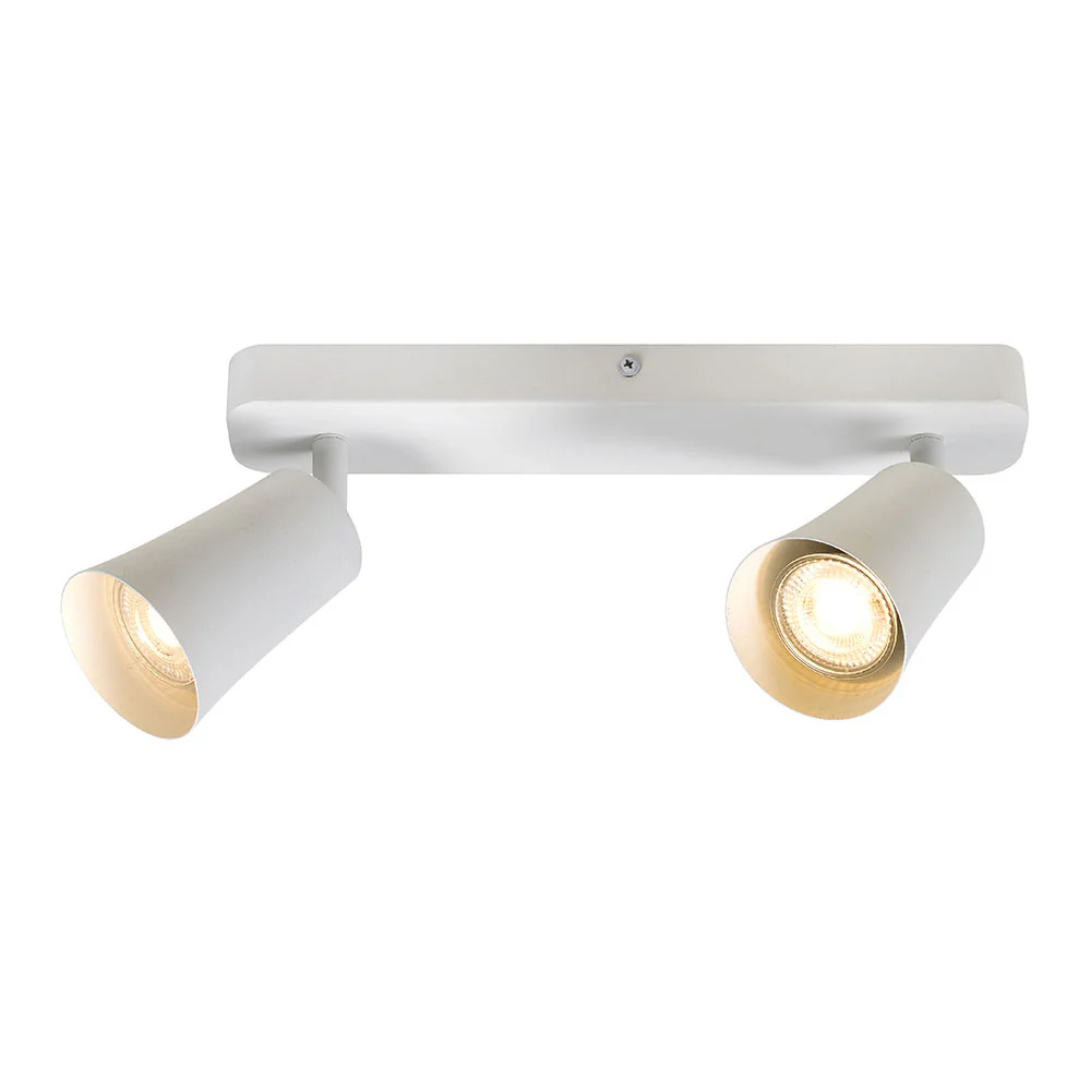 ALVEY 2 LIGHT CEILING SPOTLIGHT
