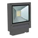 FLASH 20W LED 240V SPT DGR