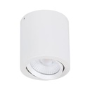 NEO-SM TILT 20W LED S/MOUNTED WHT