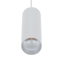 STAR-PD-10W D58 X H180 LED PND WHT